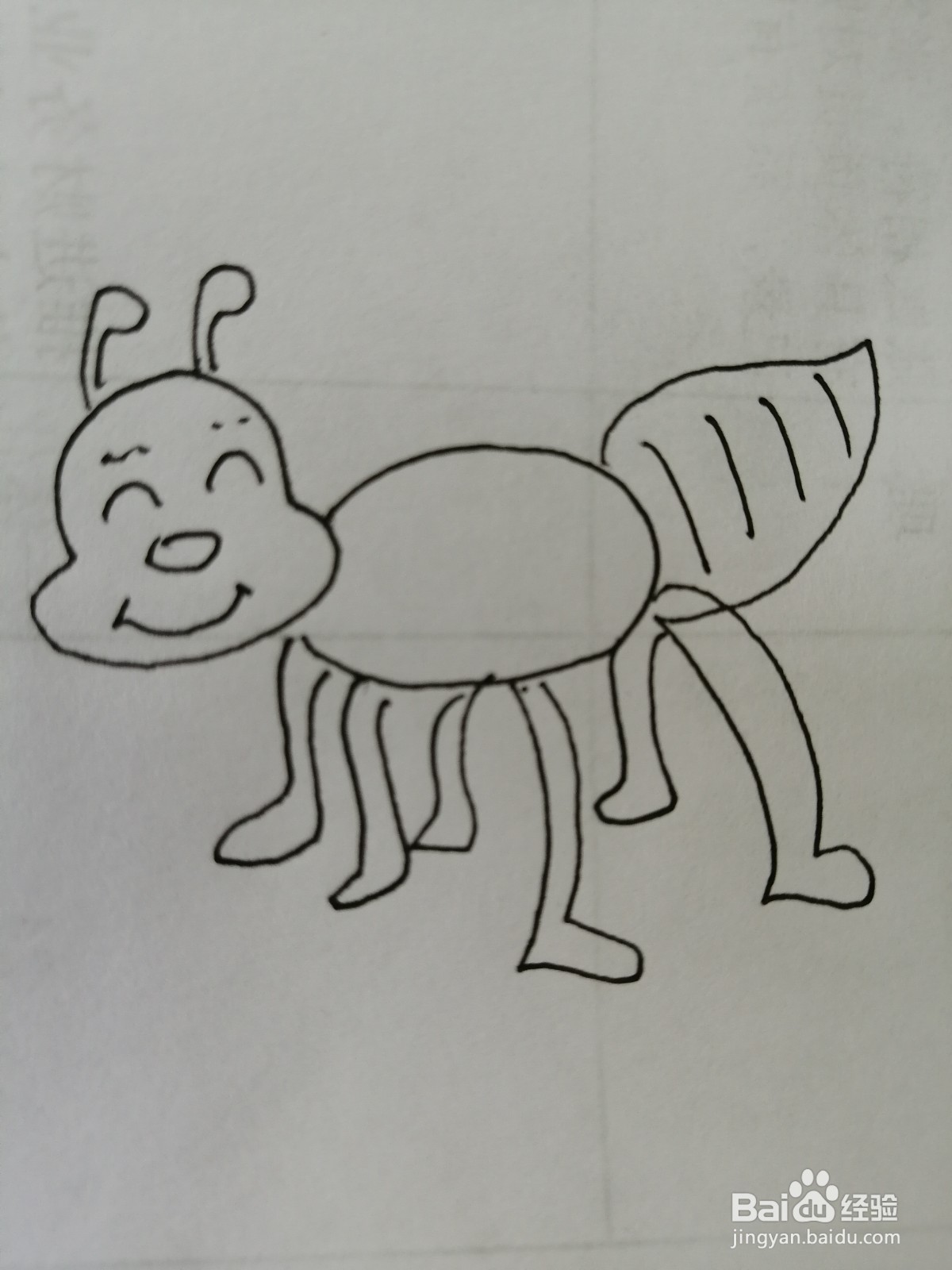 简笔画昆虫怎么画