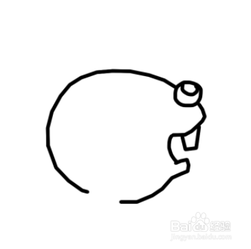 儿童简笔画：惊讶的小松鼠