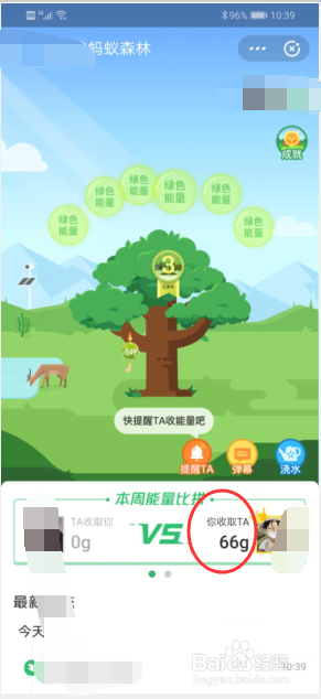 支付宝蚂蚁森林怎么收取能量