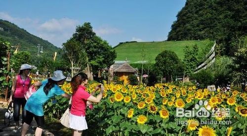 张家界凤凰自助游攻略