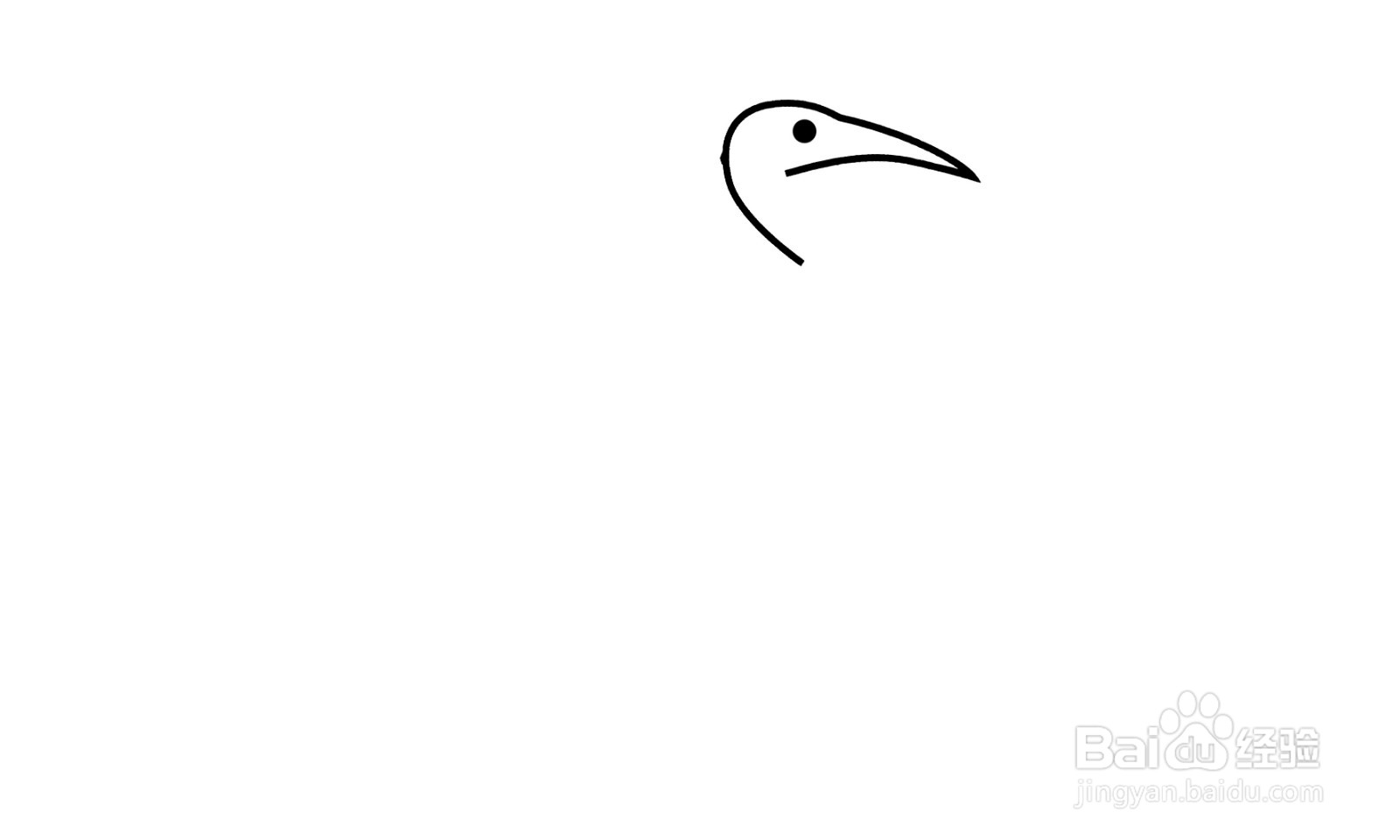如何画出一只白鹭