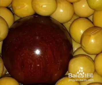 小叶紫檀的正确盘法