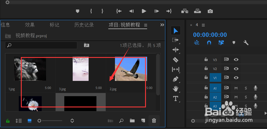 pr如何快速导入素材？