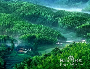 四川竹海风景区在哪里？