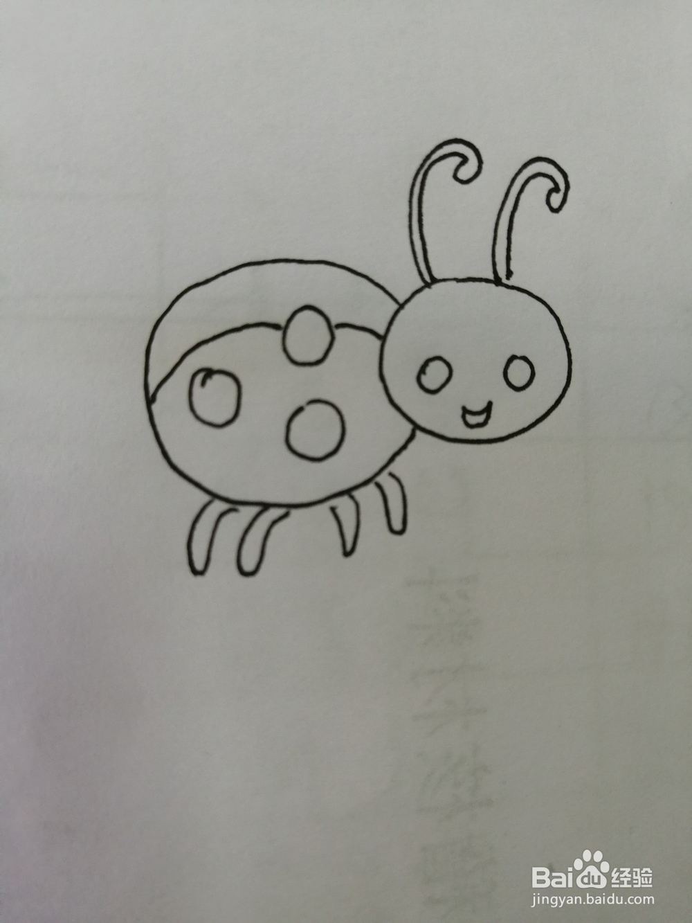 可爱的瓢虫怎么画