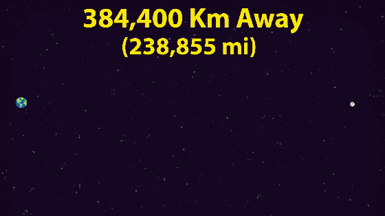 来自宇宙的一封信：你在宇宙中的真实大小