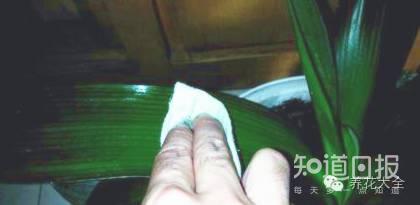 冬季养花7大法宝,小心你的花熬不到春天!