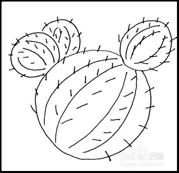 怎样画简笔画（花卉）：[5]仙人球
