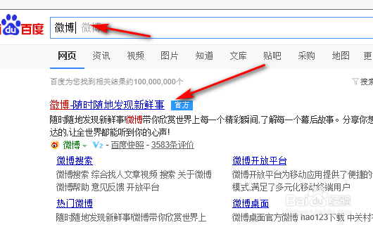 如何在电脑上查找网站的方法步骤