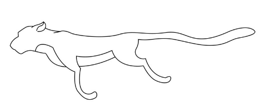 豹子的脚简笔画图片