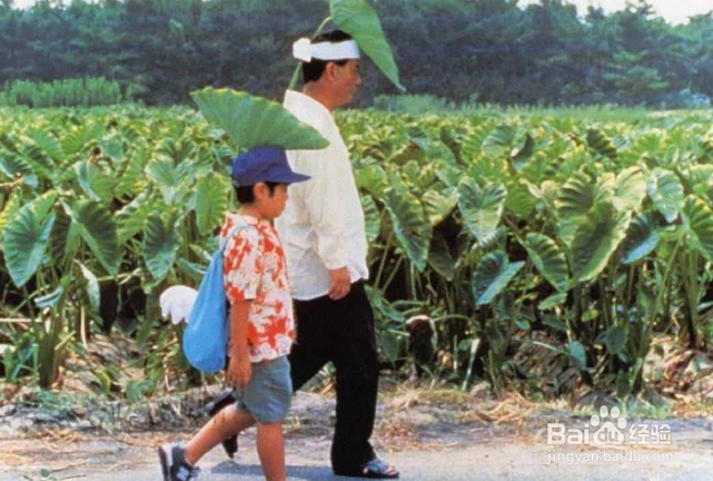 日本十大经典电影排行