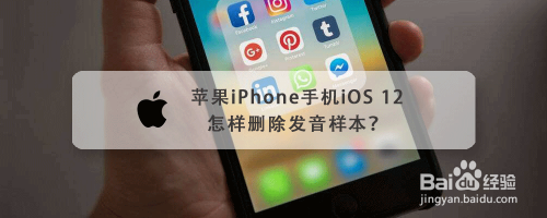 苹果iphone手机ios 12怎样删除发音样本 百度经验