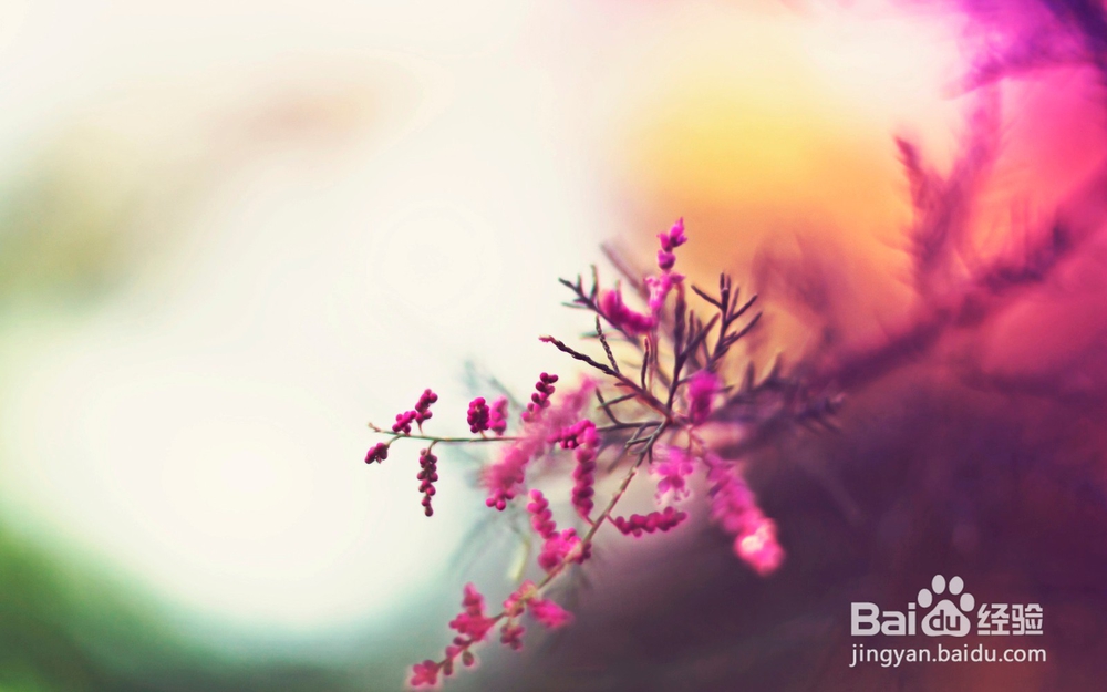 读皮亚杰关于德育培养感悟