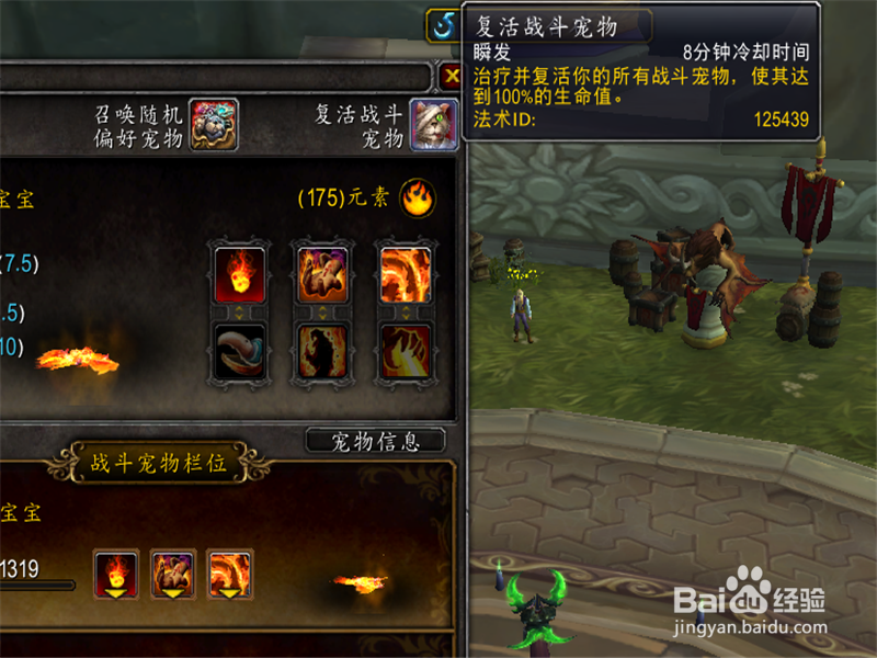 魔兽世界8.0新手宠物对战升级攻略