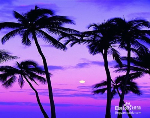 放假旅游应注意什么