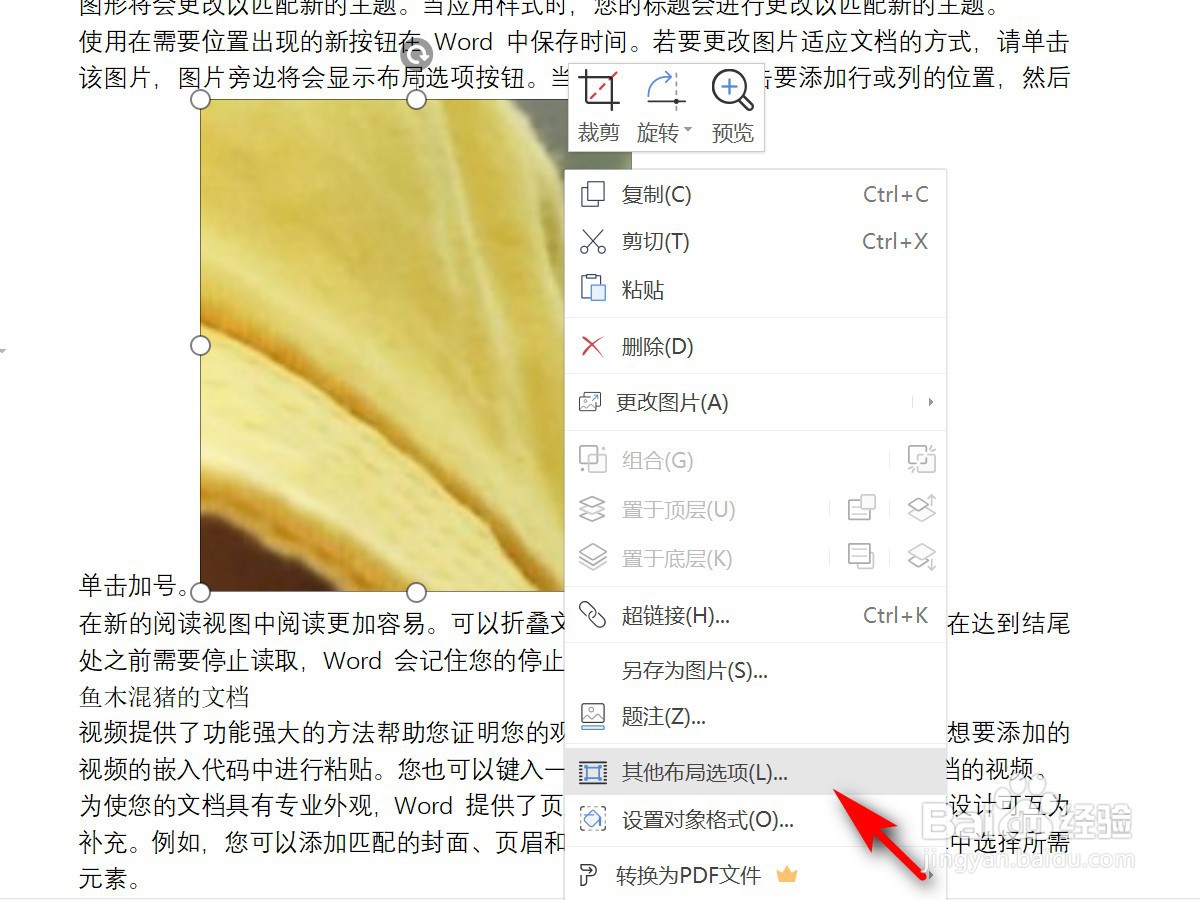 WPS文字如何设置图片出现在文字下方
