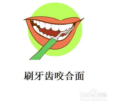 刷牙齿的正确方法