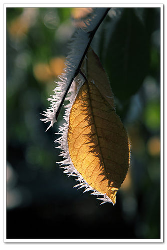 怎样根据不同的拍摄题材来设置相机