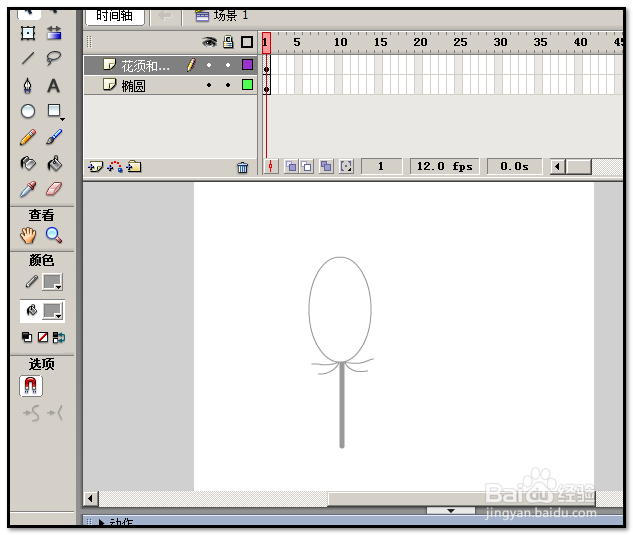 怎样用FLASH画玫瑰花?怎样鼠绘玫瑰花?