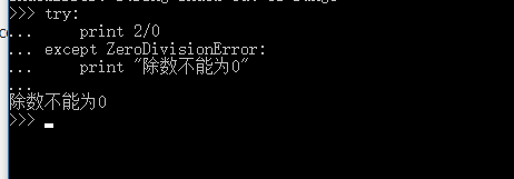 Python如何捕获异常