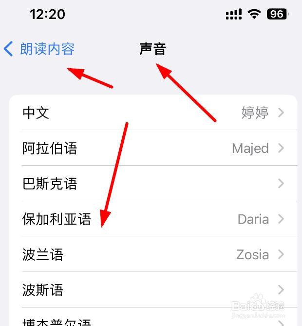 iPhone14如何设置朗读内容的声音为丹麦语