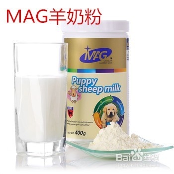 小金毛吃什么好