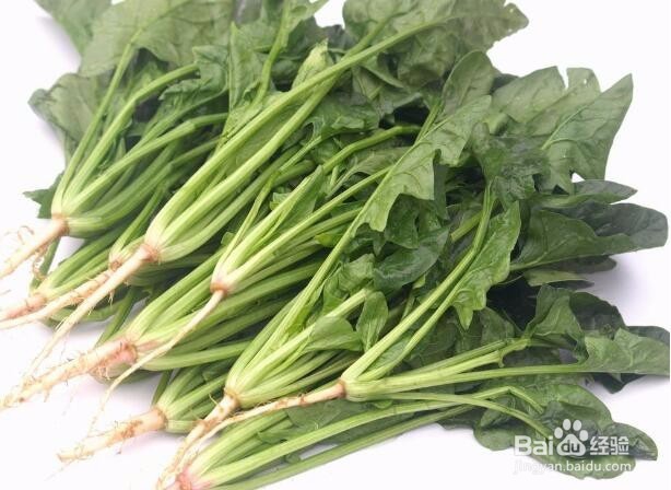 多吃下面几种食物对你的眼睛有帮助