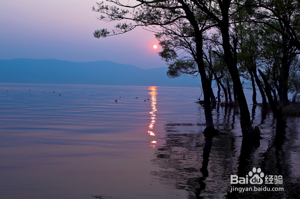 大理古城休闲漫步体验