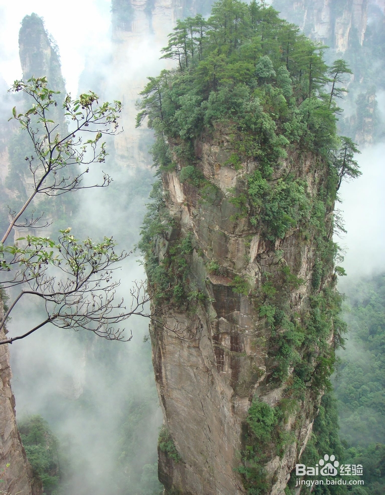 春节张家界旅游攻略