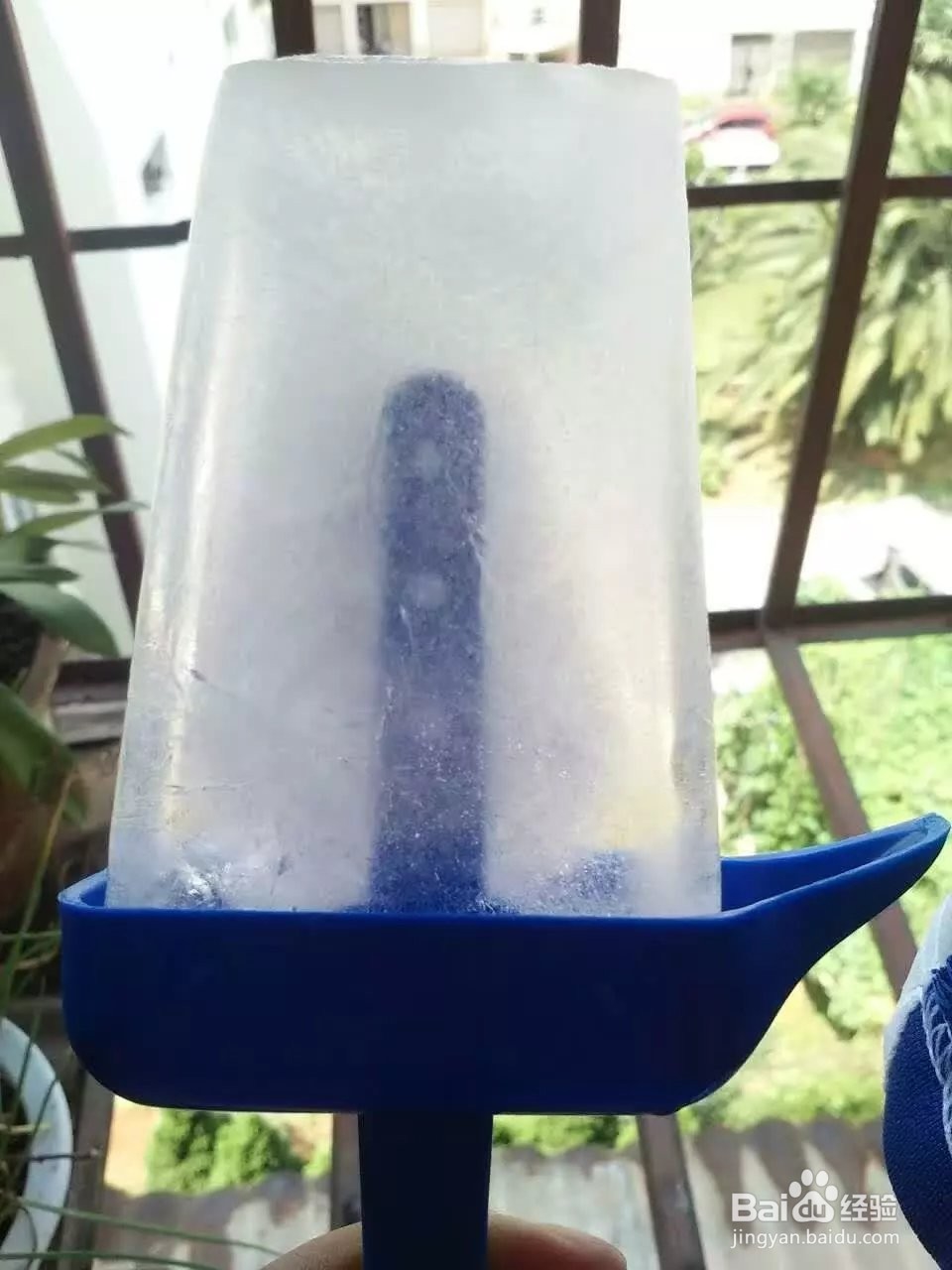 如何在家轻松制作冰棒