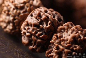 金刚菩提子开裂及补救方法 ，快来学学吧！