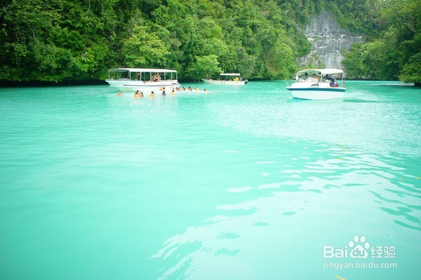 初行度假帕劳潜水体验路线