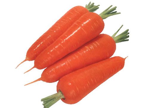 对男人有益的常见食物