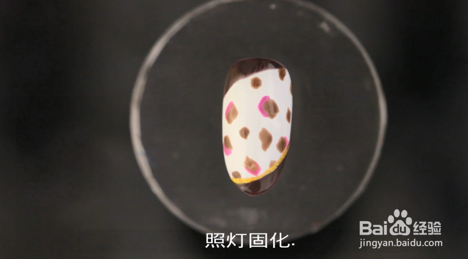 怎样做多色带铆钉的豹纹指甲？