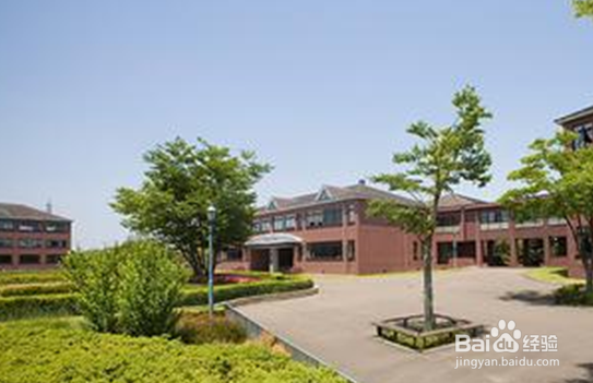 大学选课指南