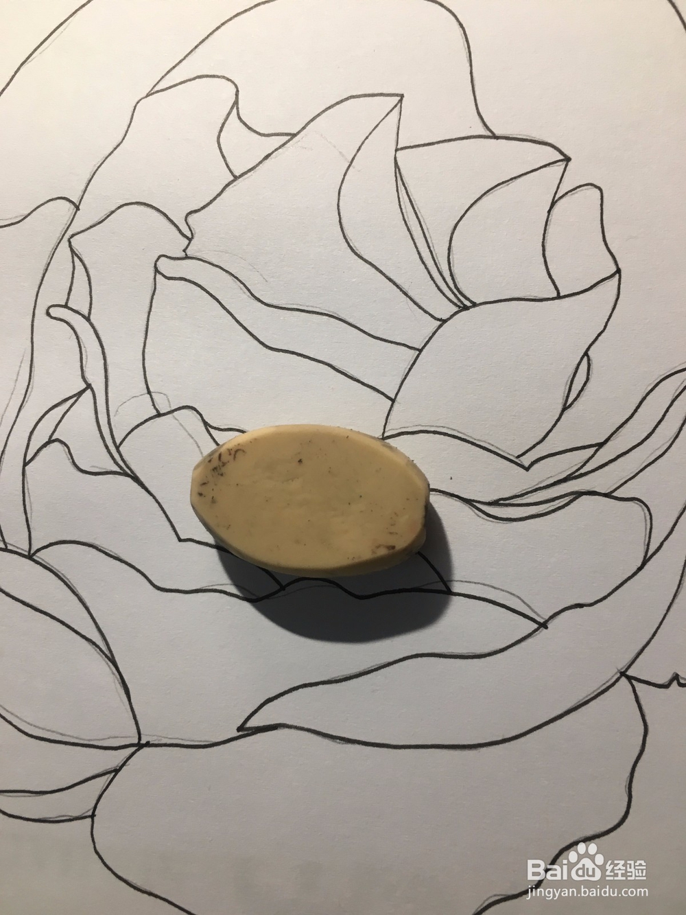 花卉简笔画：画一朵月季花 月季绘画教程 儿童画