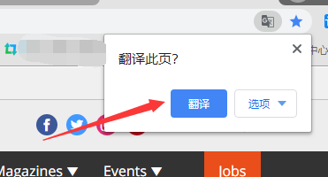 Chrome浏览器怎么开谷歌翻译