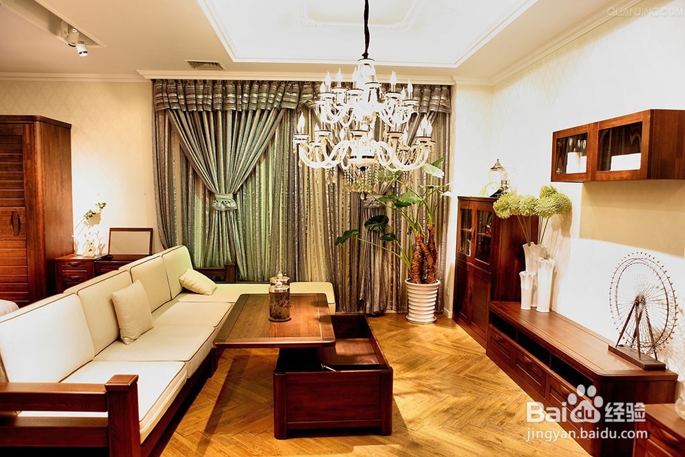 家里一定要摆放这几种绿植，保你财旺，运气旺