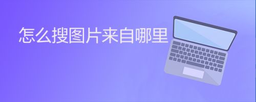 怎么搜图片来自哪里