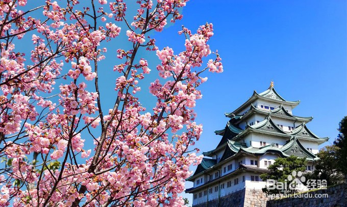 日本中部地区著名景点攻略