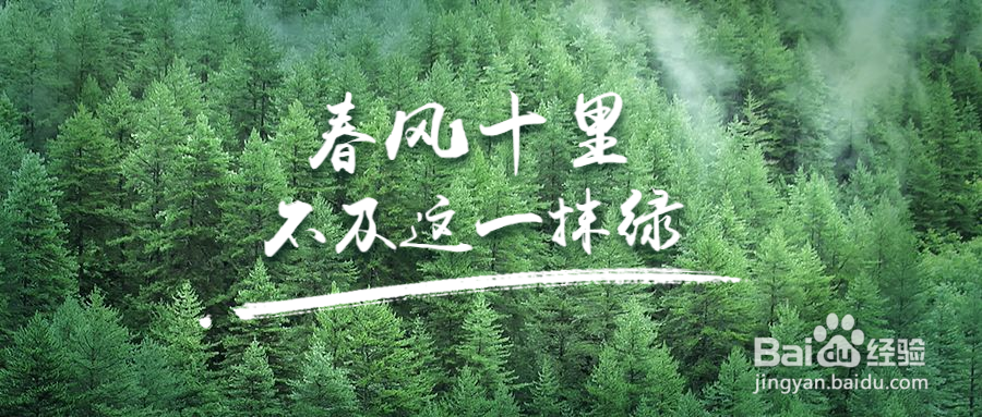 抖音粉丝快速涨粉技巧！