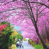 怎么样治疗焦虑精神病