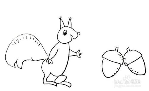 画捡松果的小松鼠的儿童卡通简笔画教程