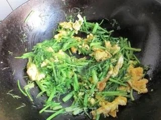 小茴香炒野鸡蛋