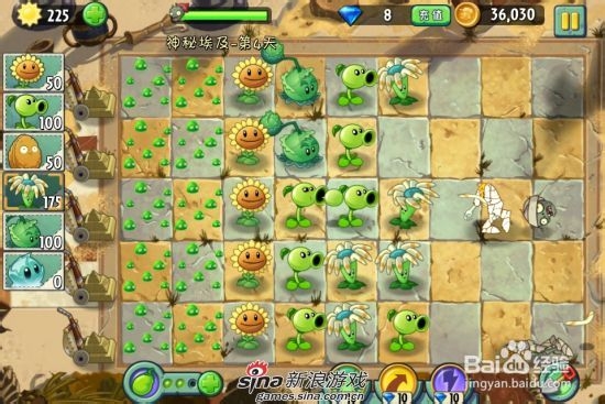植物大战僵尸2中文版神秘埃及第四关：[1]一星