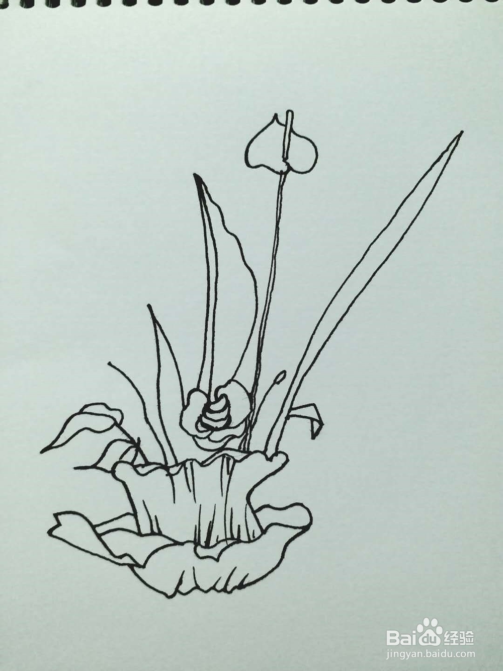 盆景的简笔画法1