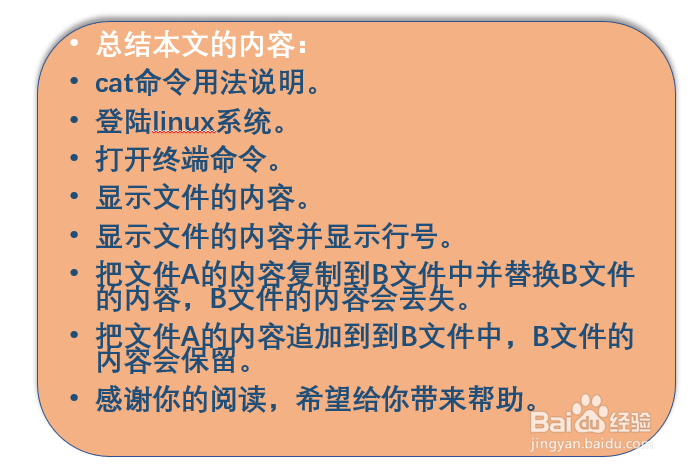Linux cat命令实操