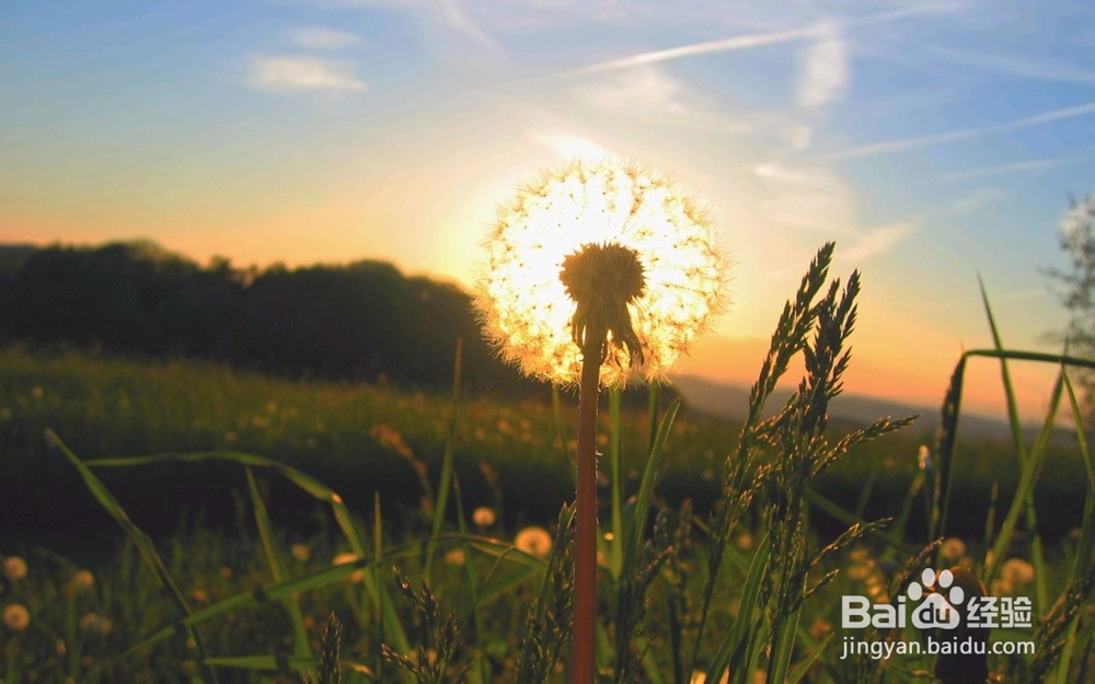 脚踝发黑怎么回事,脚踝发黑怎么变白