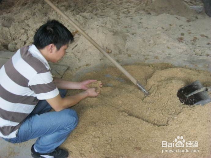 如何启动干撒式发酵床