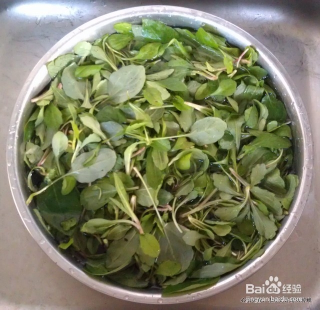 亲手采撷的好味--蒜泥马兰头